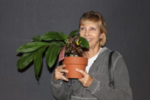 Best Species Charlie Rogg Catasetum tenebrosum 'Dark knightt' (3)