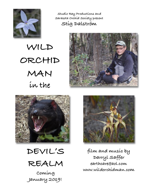 Wild Orchid Man Film Premeire