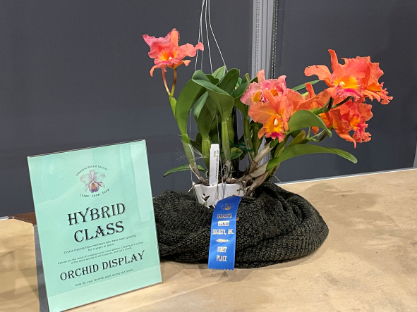 November 2021 Speaker’s Choice and 1st Place Hybrid Award
